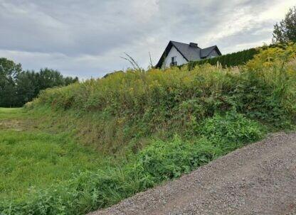 Sprzedam działkę budowlano rolną 30 ar w miejscowości Rączna