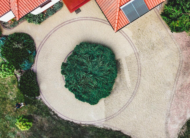 Profesjonalne mycie kostki brukowej