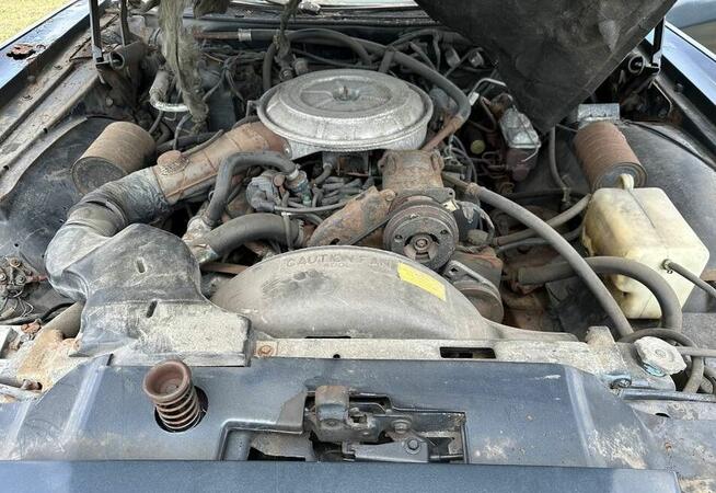 Lincoln Continental Collectors series - cena do negocjacji