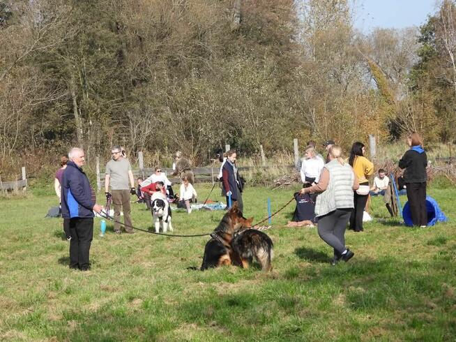 Kurs Zoopsycholog Behawiorysta Treser psów