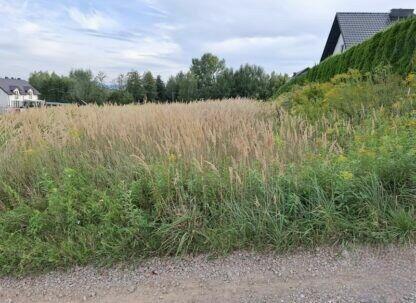 Sprzedam działkę budowlano rolną 30 ar w miejscowości Rączna