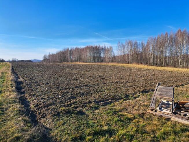 Działki budowlane Szynwałd