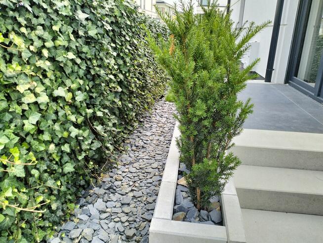 Trawnik z Rolki z położeniem