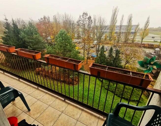 Mieszkanie do wynajęcia 3pokoje 61m2 Przylesie