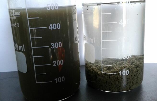 AMFIBIA, REFULER, ODMULANIE, KOSZENIE, ODWADNIANIE OSADU