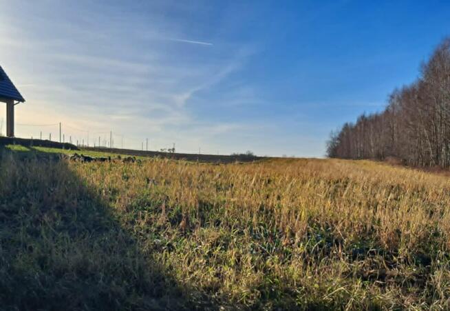 Działki budowlane Szynwałd