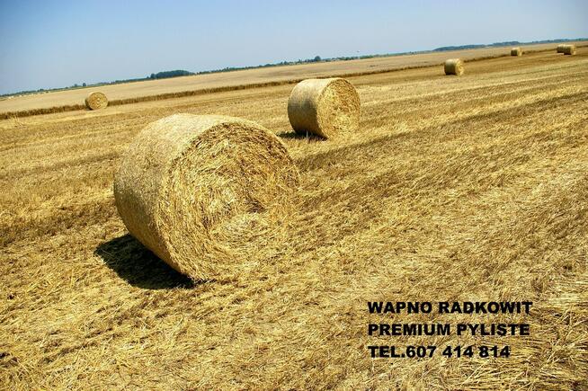 WAPNO WĘGLANOW0-MAGNEZOWE RADKOWIT PREMIUM PYLISTE