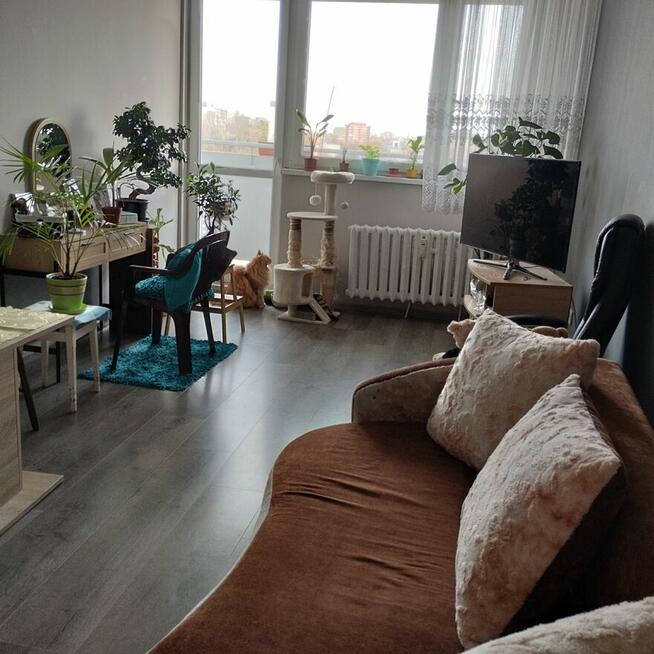 Zamienię lub sprzedam mieszkanie