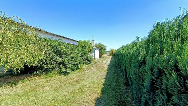 Hala budynek produkcja magazyn 760m działka 2717m