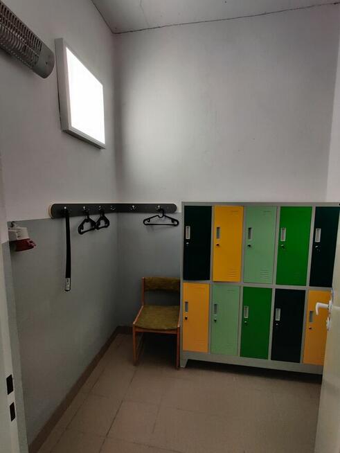 Hala produkcyjna, magazyn, 480 + 280 + 70 m2, działka 2717