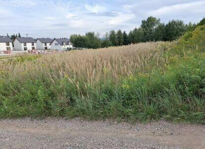 Sprzedam działkę budowlano rolną 30 ar w miejscowości Rączna