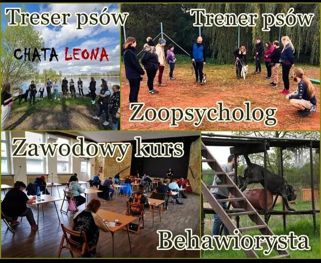 Kurs Zoopsycholog Behawiorysta Treser psów