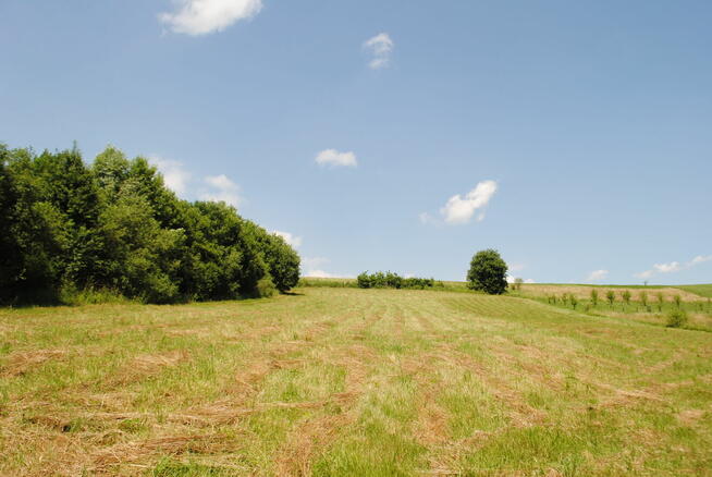 Bereżnica gm Solina działka pod 2 domy jednorodzinne