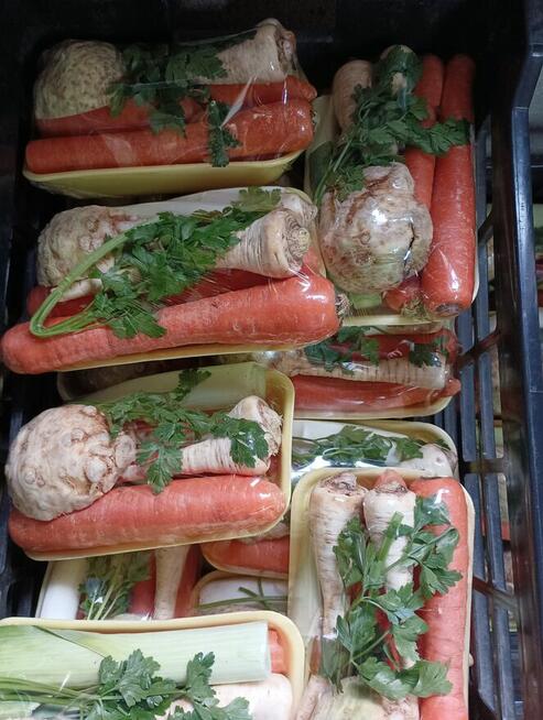 Sprzedam włoszczyznę