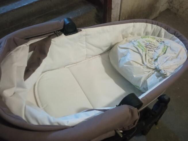 Baby Design Lupo 2w1 Wózek Gondola Nosidełko