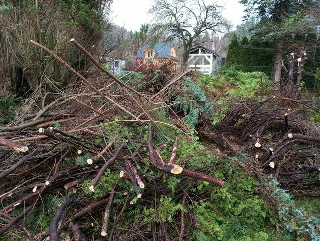 Zrebkowanie (mielenie) gałęzi, karczowanie działek
