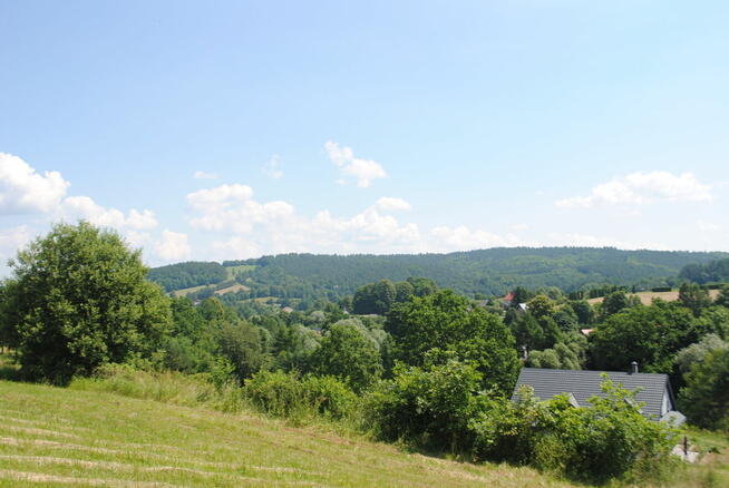 Bereżnica gm Solina działka pod 2 domy jednorodzinne