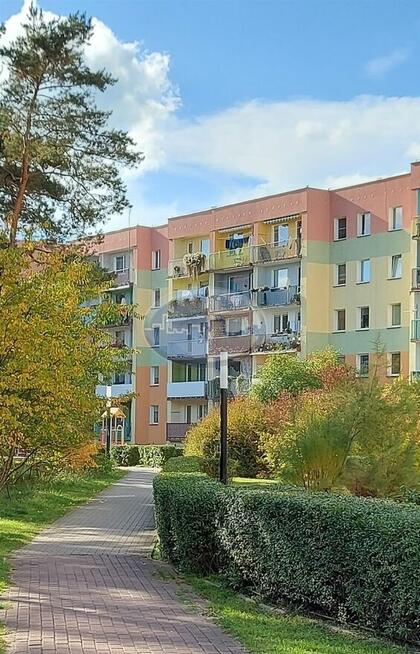 Mieszkanie z widokiem na las 2 pokoje