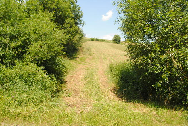 Bereżnica gm Solina działka pod 2 domy jednorodzinne