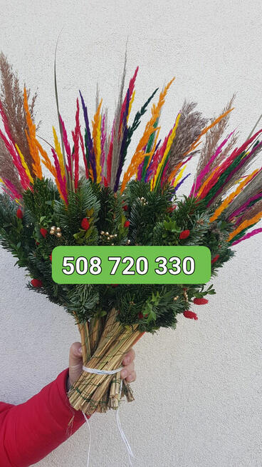 palmy Wielkanocne, palmy żywe - PRODUCENT/HURT