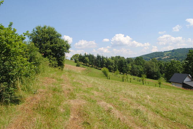 Bereżnica gm Solina działka pod 2 domy jednorodzinne