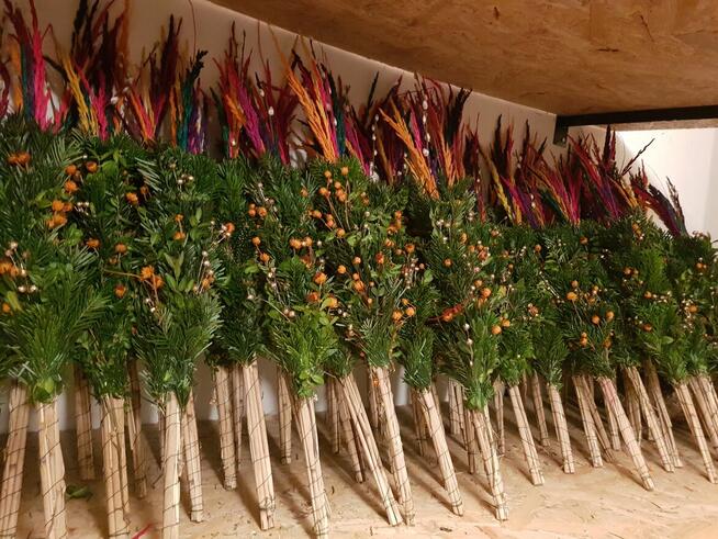 palmy Wielkanocne, palmy żywe - PRODUCENT/HURT