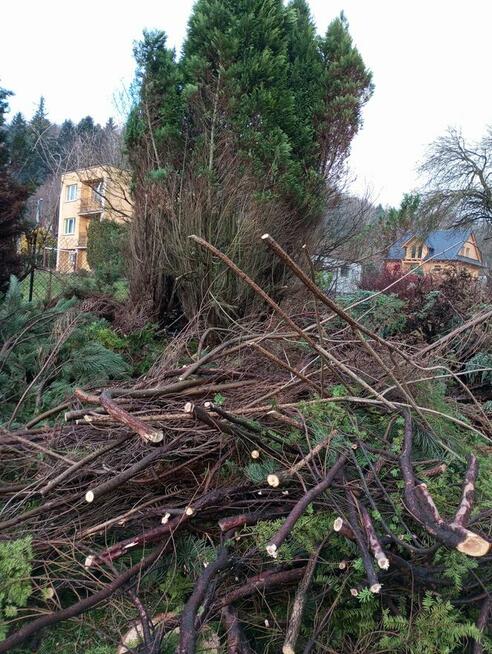 Zrebkowanie (mielenie) gałęzi, karczowanie działek