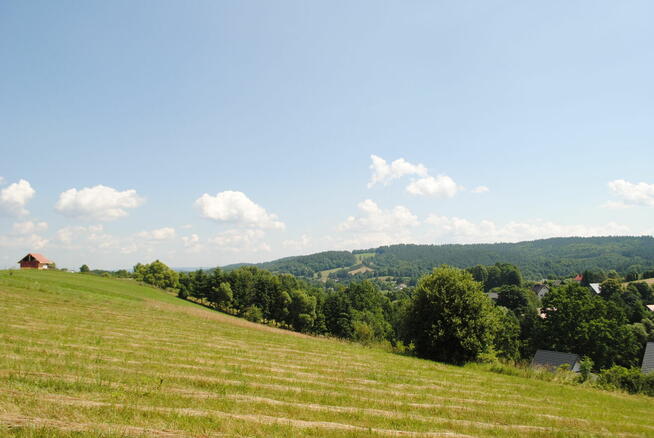 Bereżnica gm Solina działka pod 2 domy jednorodzinne