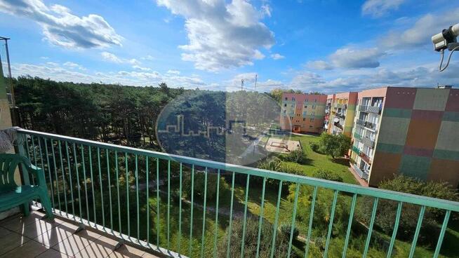 Mieszkanie z widokiem na las 2 pokoje