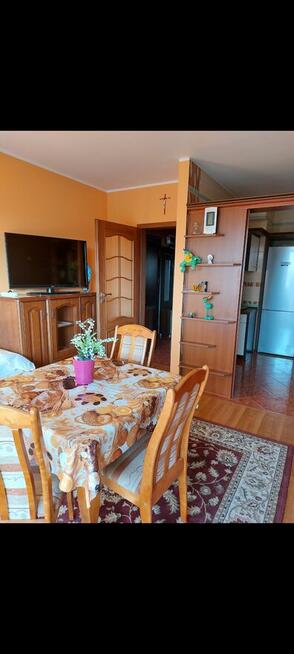 do wynajęcia dwa pokoje kuchnia łazienka