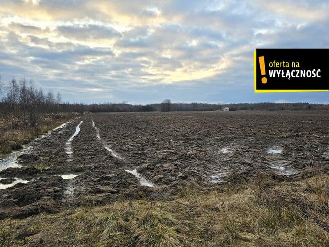 Działka rolna Strażnik gm. Solec-Zdrój,