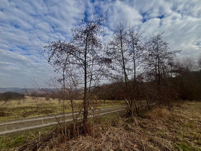 Działka rolno-budowlana Wróblowice!