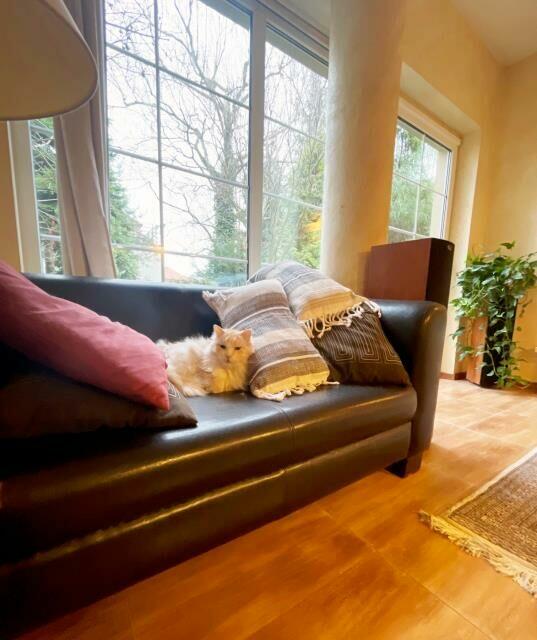 Dom Warszawa Wesoła, Zielona