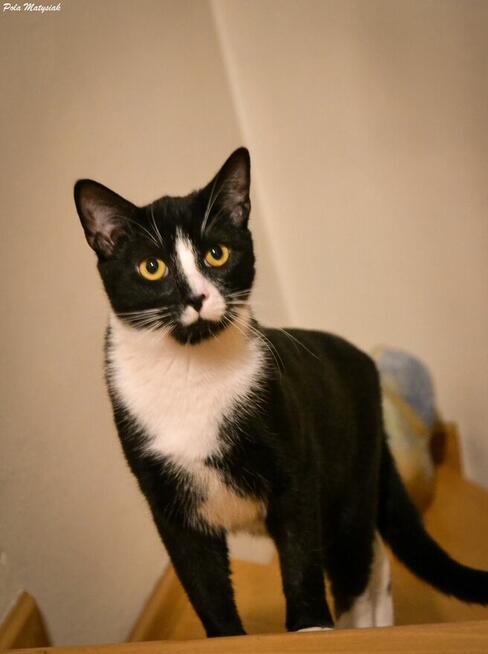 Lolek mówi, że już najwyższy czas wyruszyć w podróż do domu