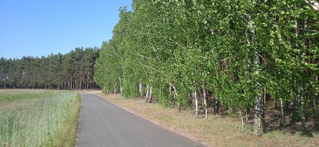 Sprzedam działki leśne