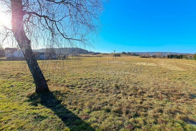 Działka budowlana 21,91 ar Srogów Górny