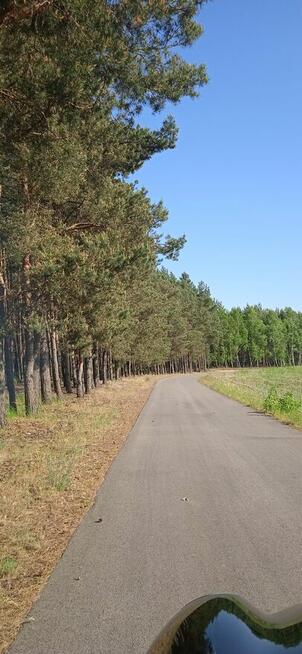 Sprzedam działki leśne