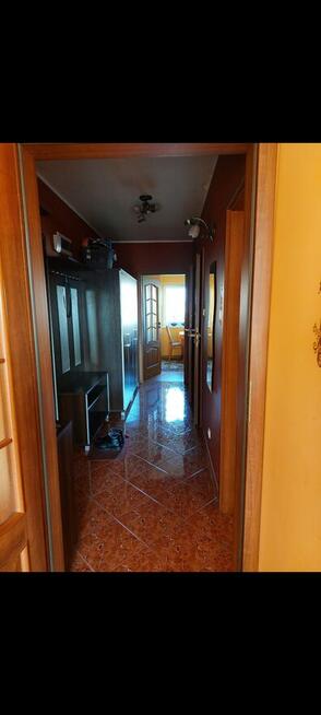 do wynajęcia dwa pokoje kuchnia łazienka