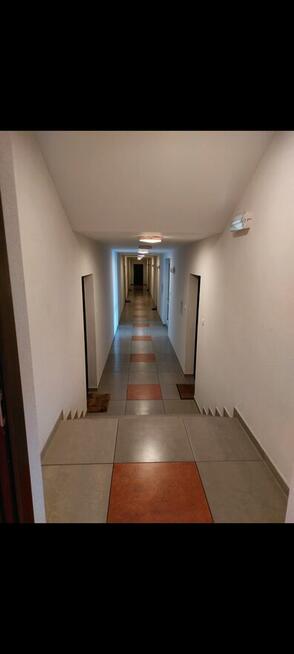 do wynajęcia dwa pokoje kuchnia łazienka