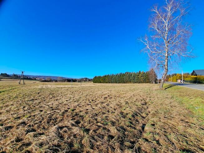 Działka budowlana 21,91 ar Srogów Górny