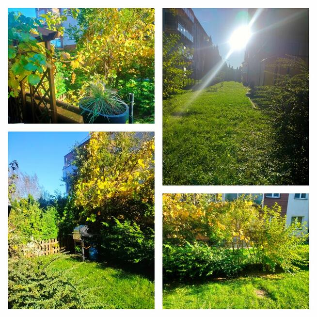 3-pokoje z ogródkiem I 63,44 m I Rzeszów - OBNIŻKA CENY!