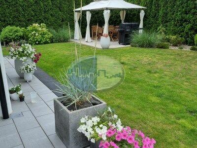 Wyjątkowy Dom położony w zacisznym miejscu Droszków koło ZG