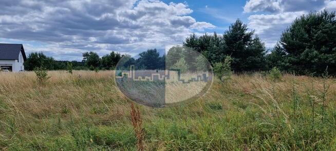 Działka w Zatoniu koło Zielonej Góry