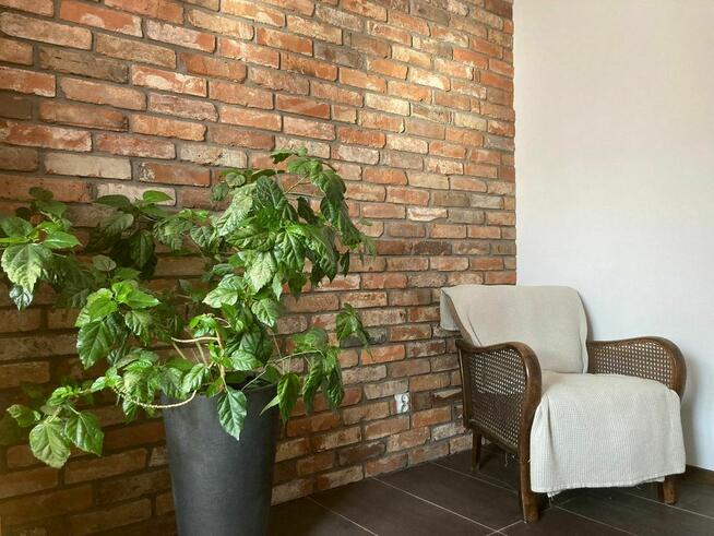 Płytki licowe z cegły rozbiórkowej