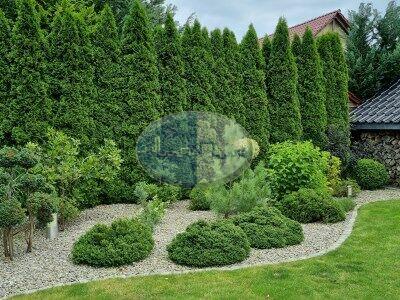 Wyjątkowy Dom położony w zacisznym miejscu Droszków koło ZG