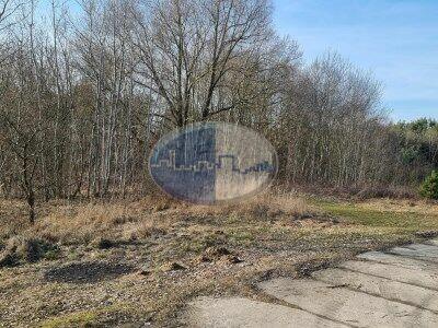 Okolice Sulechowa duża działka rolna ze stawem i lasem