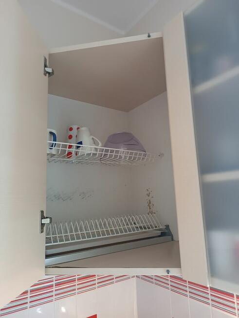 Poszukuję stolarza do remontu mebli