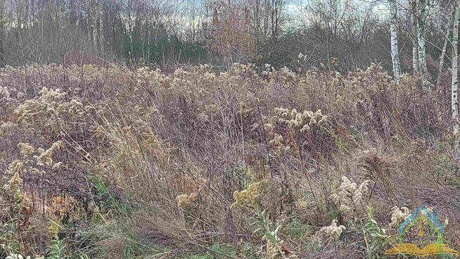 Działka Henryków-Urocze