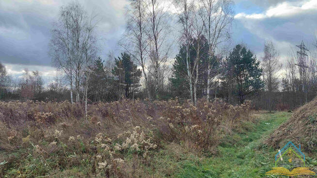 Działka Henryków-Urocze