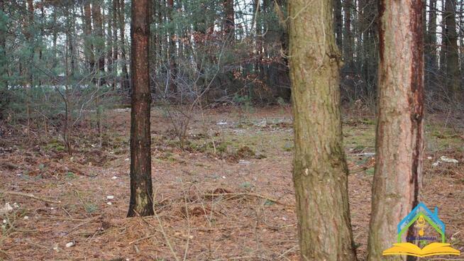 Działka budowlana Przypki gm. Tarczyn